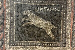 Balikesir-Adramytteion-Antik-Kenti-Roma-donemi-Zumrut-kedi-ve-Okyanus-kopek-mozaigi2-300x200 Balıkesir'de 2 Bin Yıllık "Zümrüt" Kedi ve "Okyanus" Köpek Mozaiği