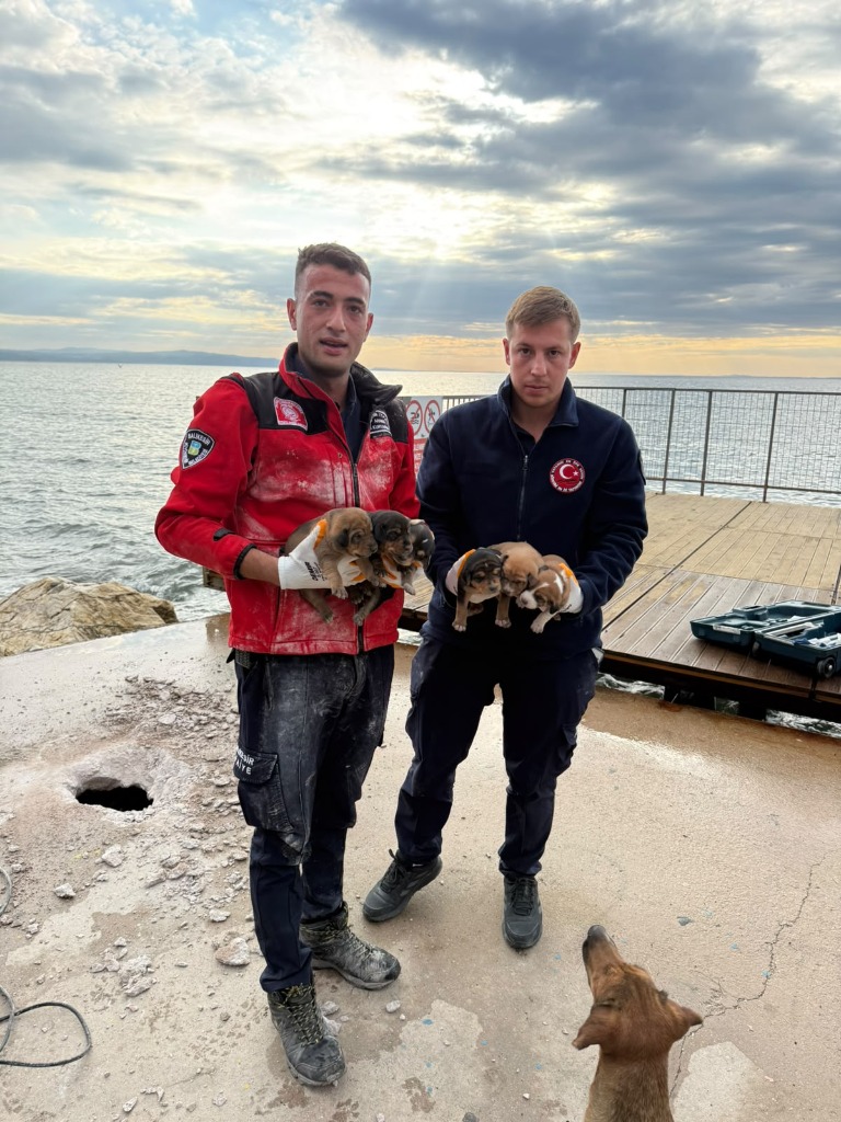 Erdek’te Kuyuya Düşen Köpek İçin Nefes Kesen Kurtarma Operasyonu