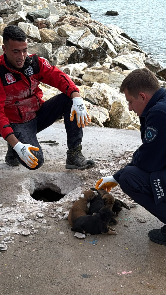 erdek_kurtarma_detay_0 Erdek'te Kuyuya Düşen Köpek İçin Nefes Kesen Kurtarma Operasyonu