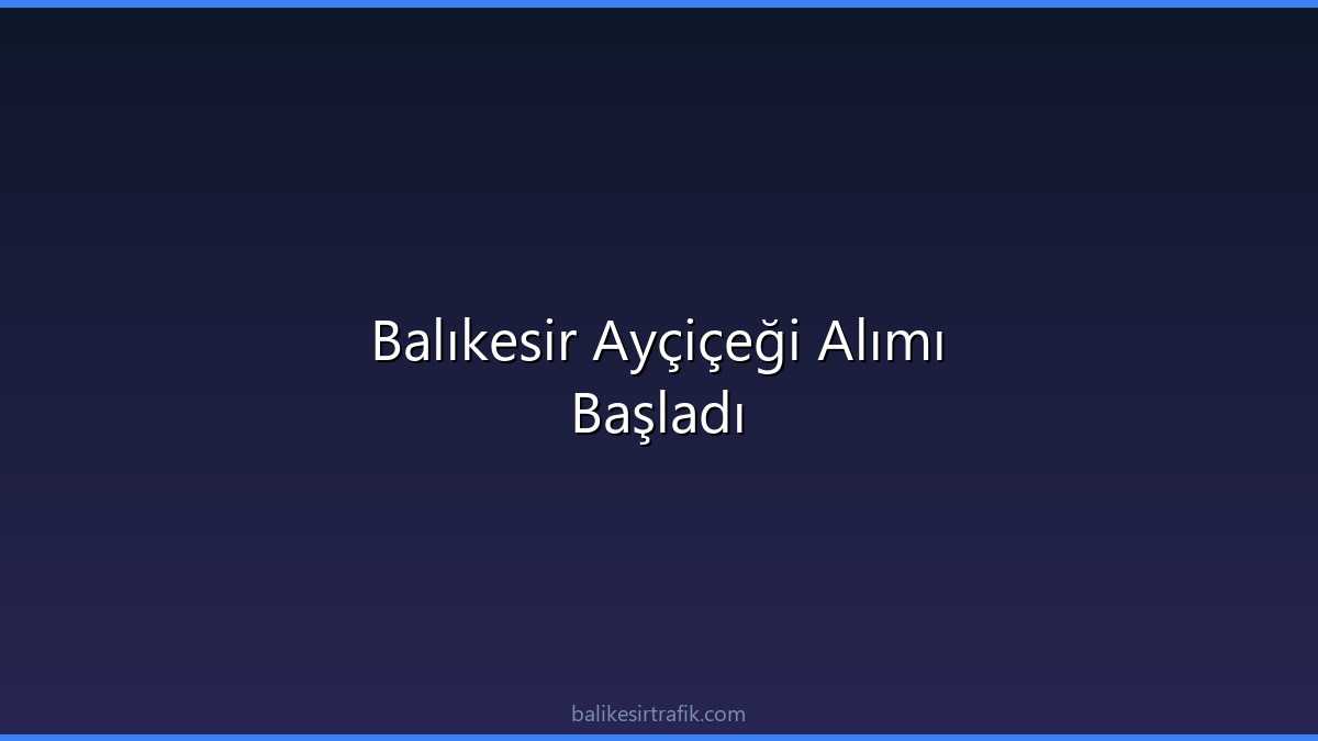 Balıkesir Ayçiçeği Alımı Başladı
