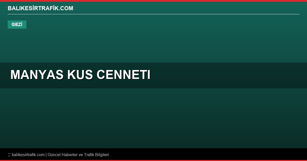 Manyas Kuş Cenneti Milli Parkı Gezi Rehberi