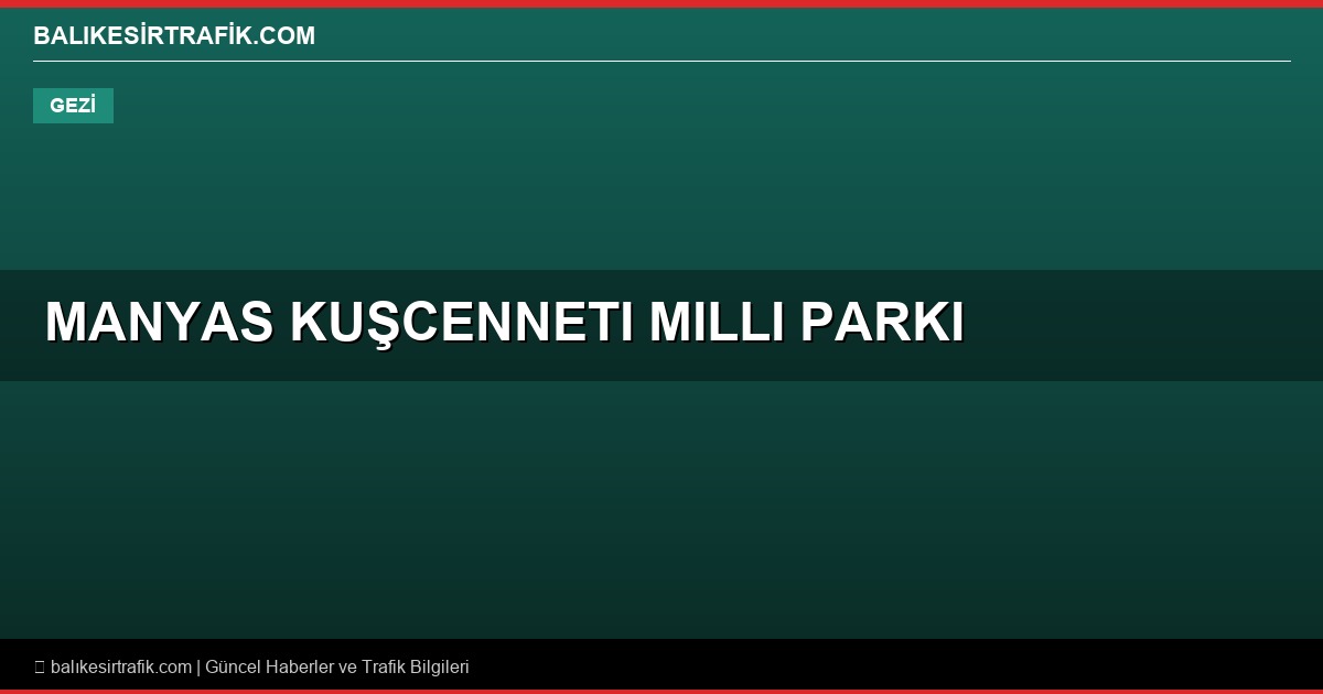 Manyas Kuşcenneti Milli Parkı: Doğaseverler İçin Balıkesir'de Saklı Cennet